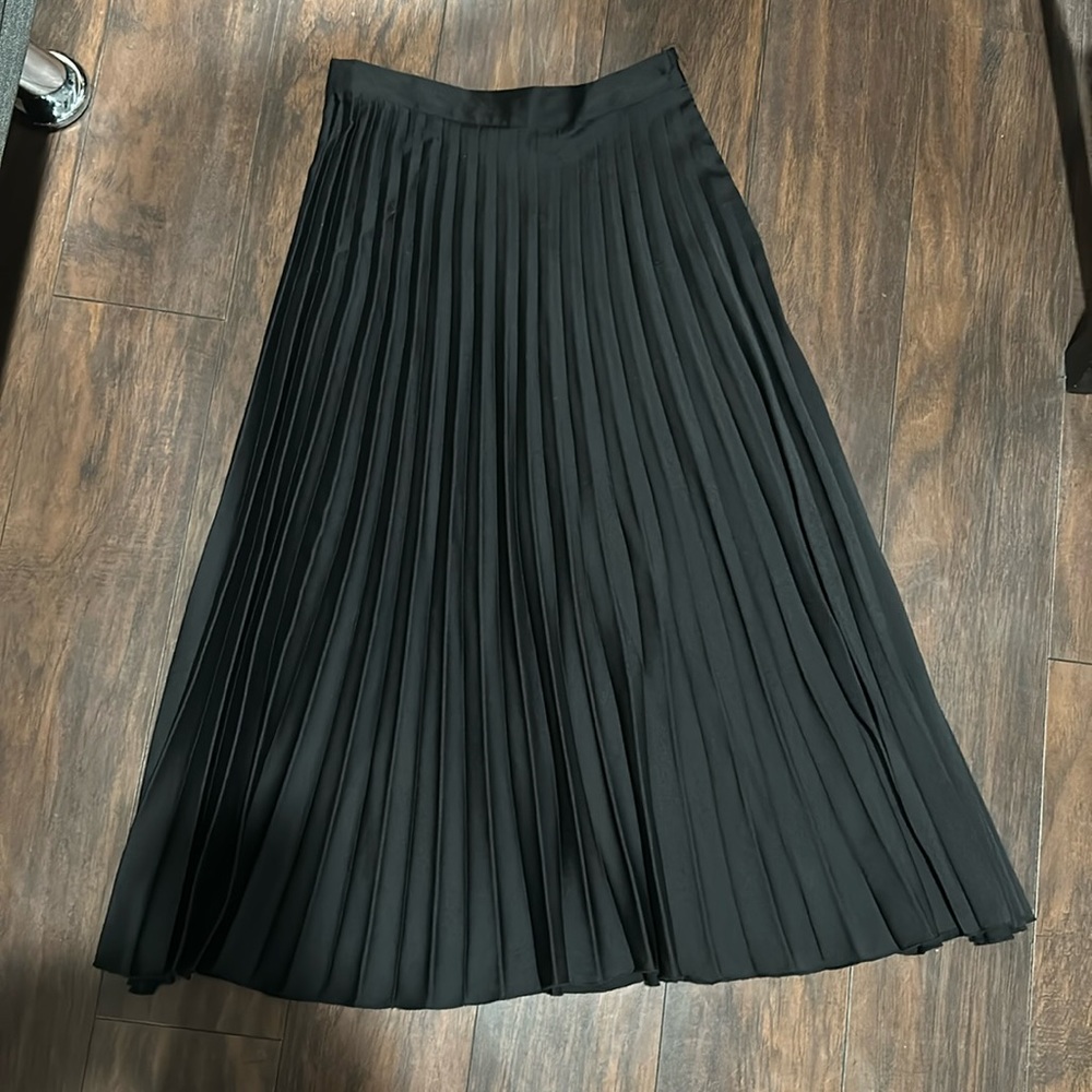 Zara Skirt